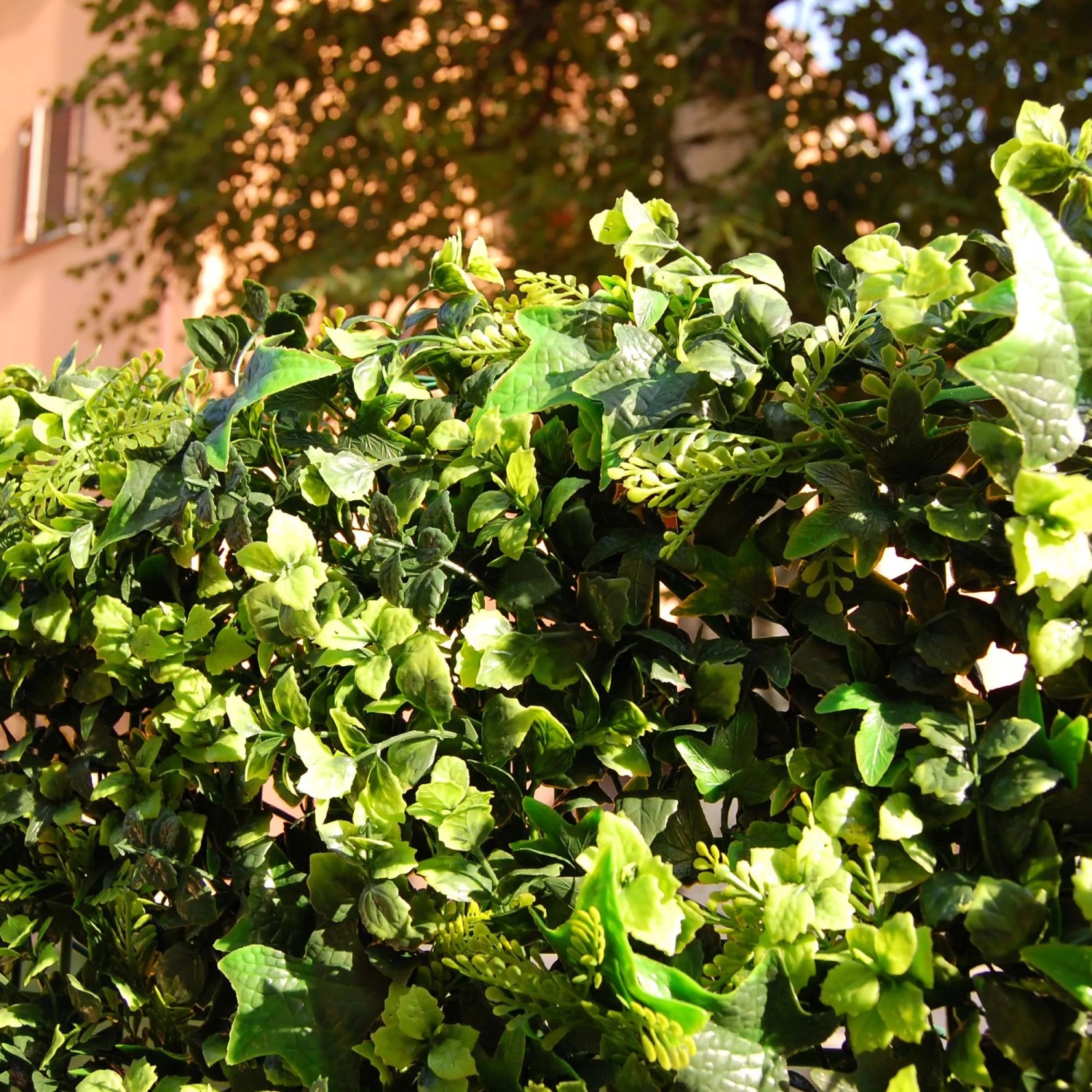 Tappeto di fogliame verde t.b.t. per privacy e decorazione in giardino o balcone.