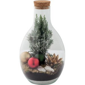 Composizione decorativa di piante in vetro con mini abete e palline.