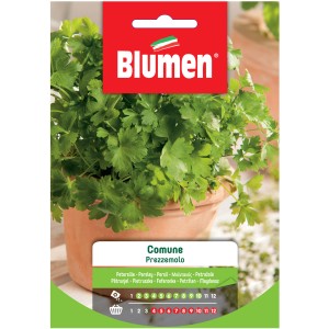 Blumen Semi da orto: Mazzo di prezzemolo in vaso, foglie verdi.