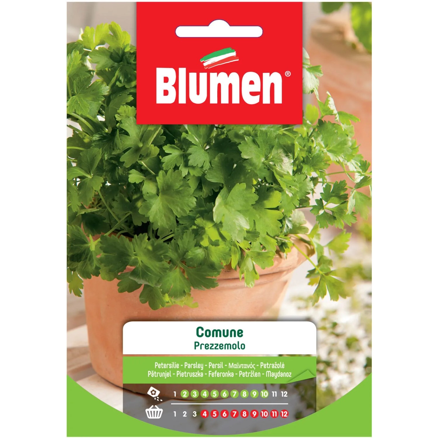 Blumen Semi da orto: Mazzo di prezzemolo in vaso, foglie verdi.
