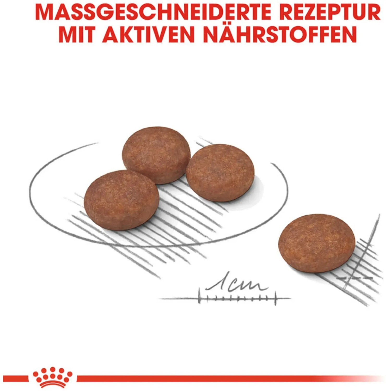 Royal Canin Digestive Care Mini: alimento secco per cani di piccola taglia con digestione sensibile.