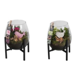 Due composizioni di piante t.b.t. in vetro con decoro uccellino su base in metallo nero.