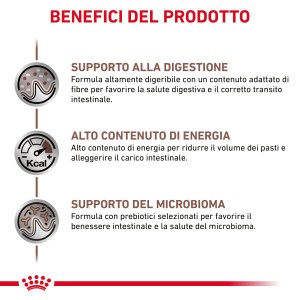 Grafica sui benefici del cibo per cani t.b.t.: digestione, energia, microbioma.