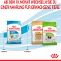 Comparazione Royal Canin X-Small Puppy cibo secco: da cibo per cuccioli ad alimento per cani adulti di piccola taglia.