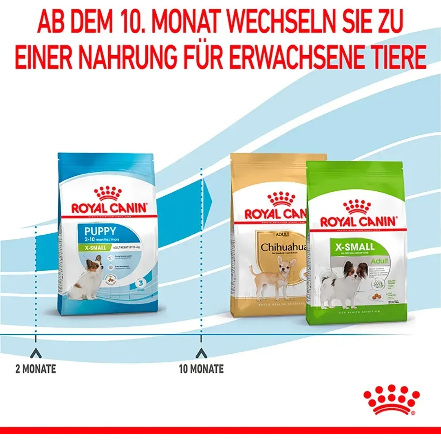 Comparazione Royal Canin X-Small Puppy cibo secco: da cibo per cuccioli ad alimento per cani adulti di piccola taglia.