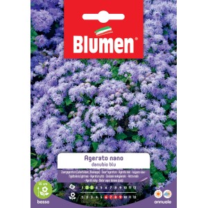 Semi di fiori Blumen Agerato nano 'danubio blu', sementi per fiori estivi con fiori blu.