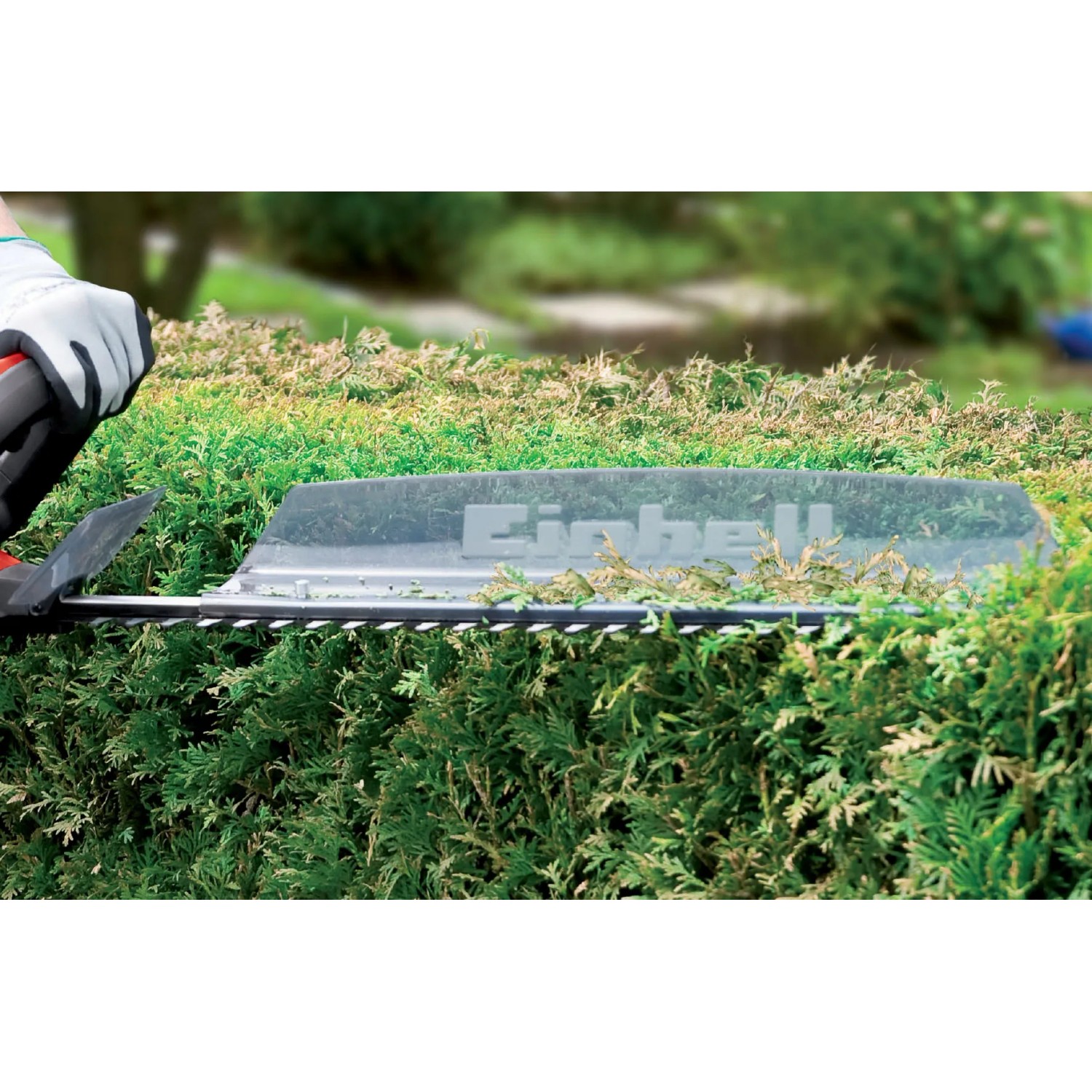 Tagliasiepi a batteria Einhell Power X-Change GC-CH 1855/1 Li Solo durante il taglio.