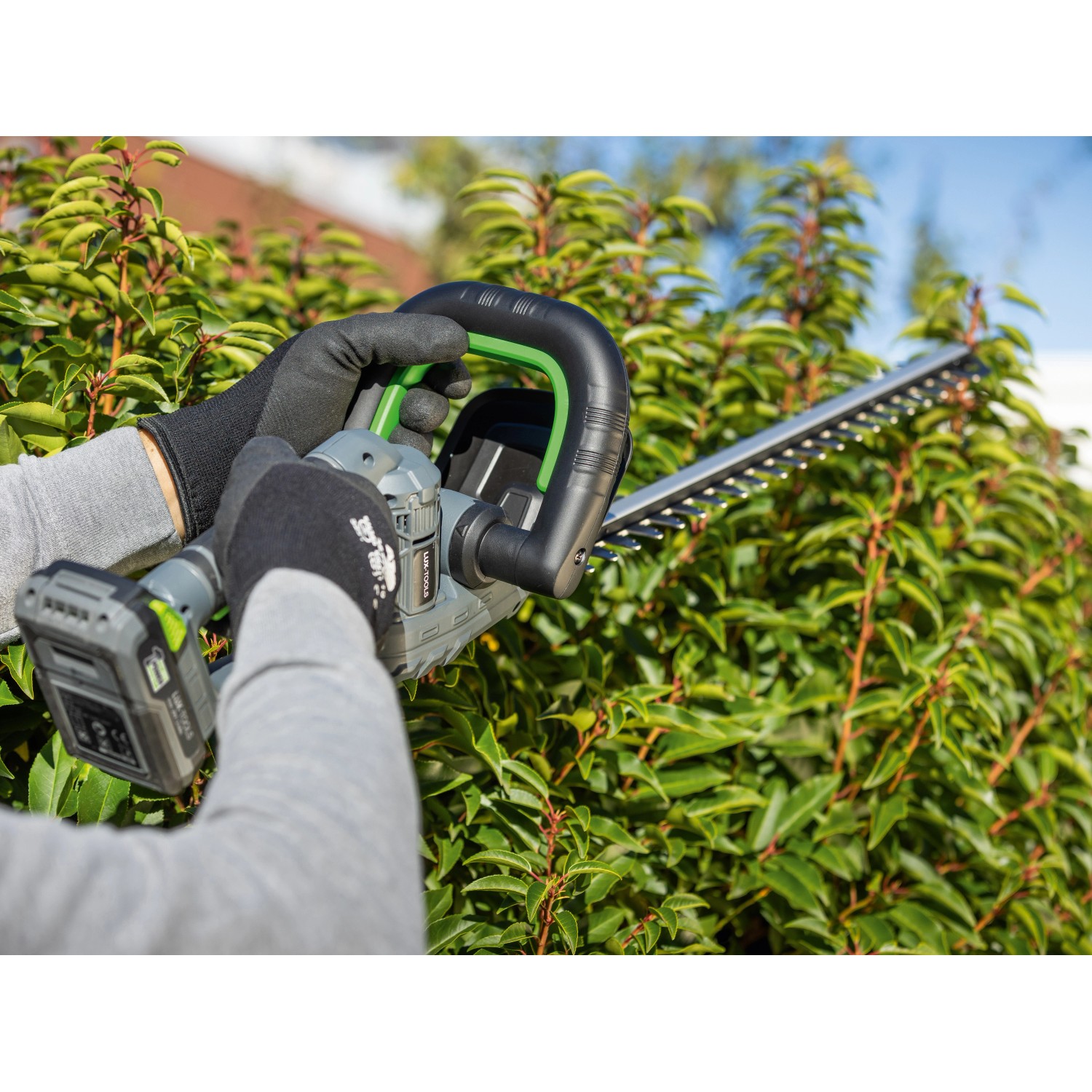 Tagliasiepi a batteria LUX taglia una siepe. Incl. batteria e caricabatterie.