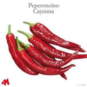 Peperoncini di Cayenna: Peperoncini rossi piccanti per l'orto.