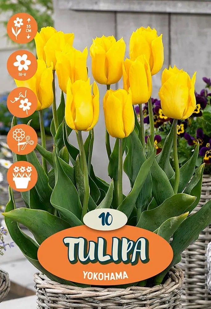 Ago Per Cordoncino Tulip – 1 Pezzo, Per Progetti Creativi E Cucito - 3