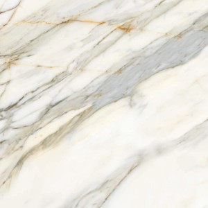Motivo piastrella: Elegante piastrella per pavimento effetto marmo in bianco e grigio.