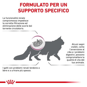 Illustrazione sul tema della malattia renale nei gatti e cibo secco specifico per gatti.