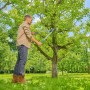 Uomo pota albero con cesoie Gardena EasyCut L. Taglio bypass per tagli precisi.