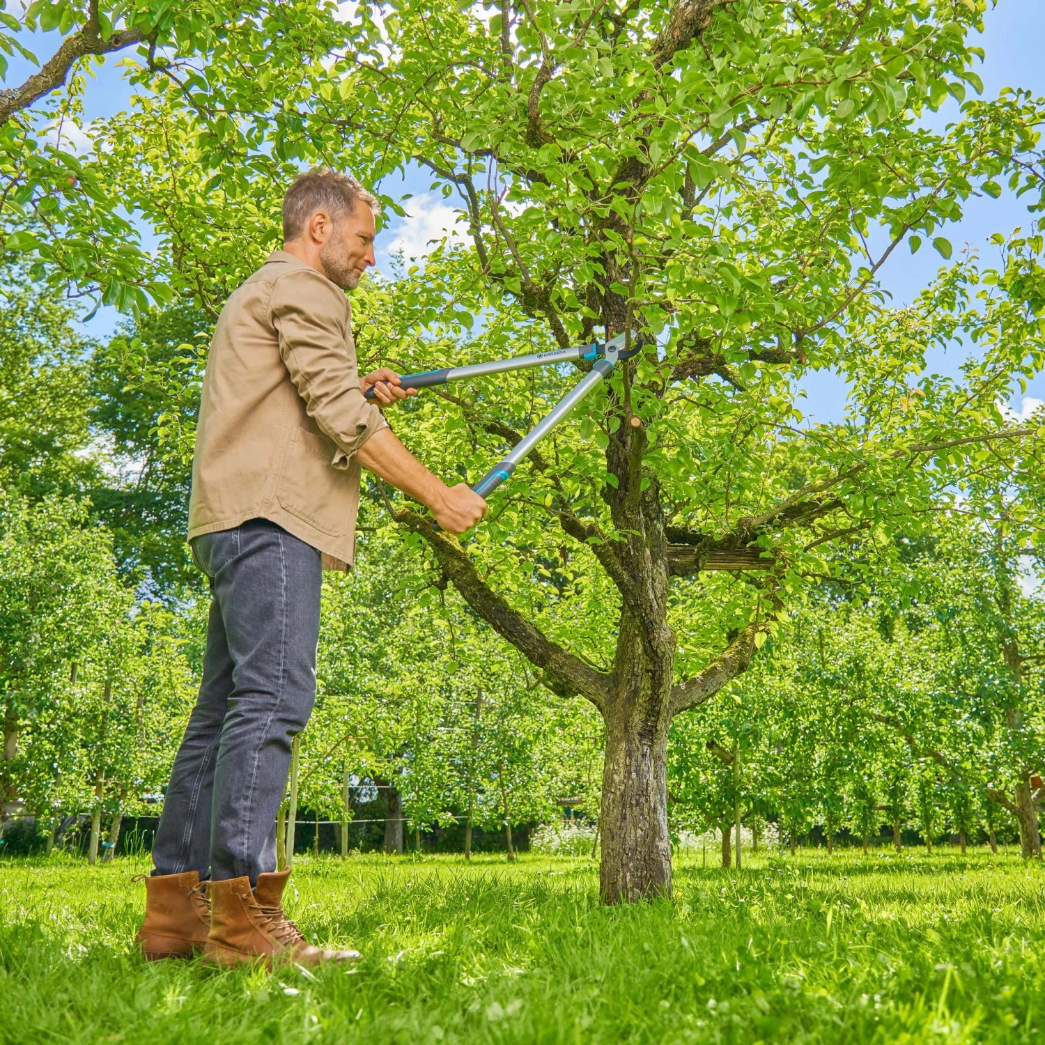 Uomo pota albero con cesoie Gardena EasyCut L. Taglio bypass per tagli precisi.