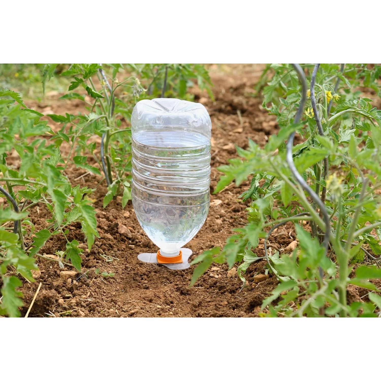 Supporto per irrigazione t.b.t. con bottiglia d'acqua nell'aiuola.