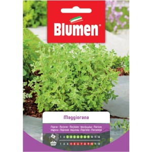 Confezione di semi di maggiorana, erba aromatica per cucina, giardino e balcone.