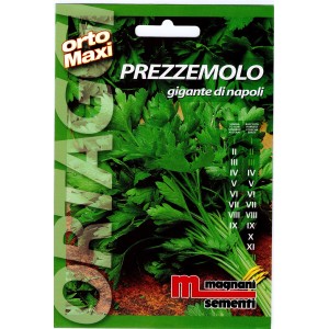 Busta di semi di prezzemolo 'Gigante di Napoli' per l'orto.