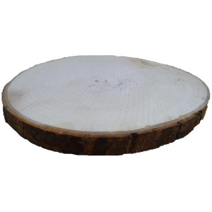 Fetta di legno chiara e rotonda con corteccia per accessori di modellazione.