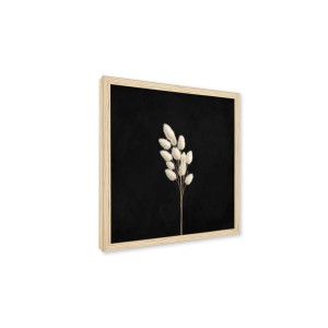 Stampa incorniciata 25x25 cm set pampas - foglie 2