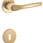 Maniglie per porte dorate per interni, set rosetta.