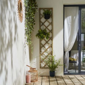 Grigliato in legno con piante come elemento di recinzione da giardino. Design decorativo del giardino con supporto per piante rampicanti.