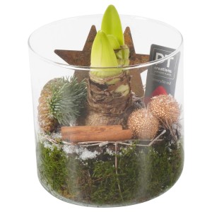 Bulbo di amaryllis in vetro con elementi decorativi.