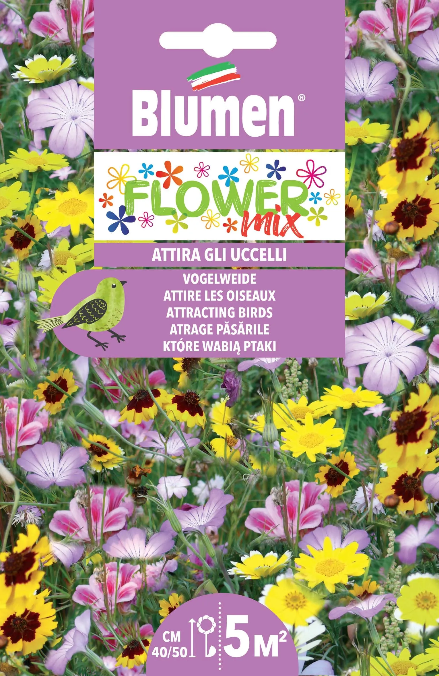 Semi Per Api - Miscela Fiori 10g, Per 5 Fioriere, Attira Farfalle E Api Tutto L'Anno
