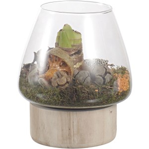 Composizione di piante decorative t.b.t. in contenitore di vetro su base in legno.