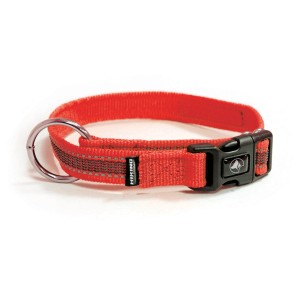 Collare per cani t.b.t. arancione con fibbia nera e anello argentato.