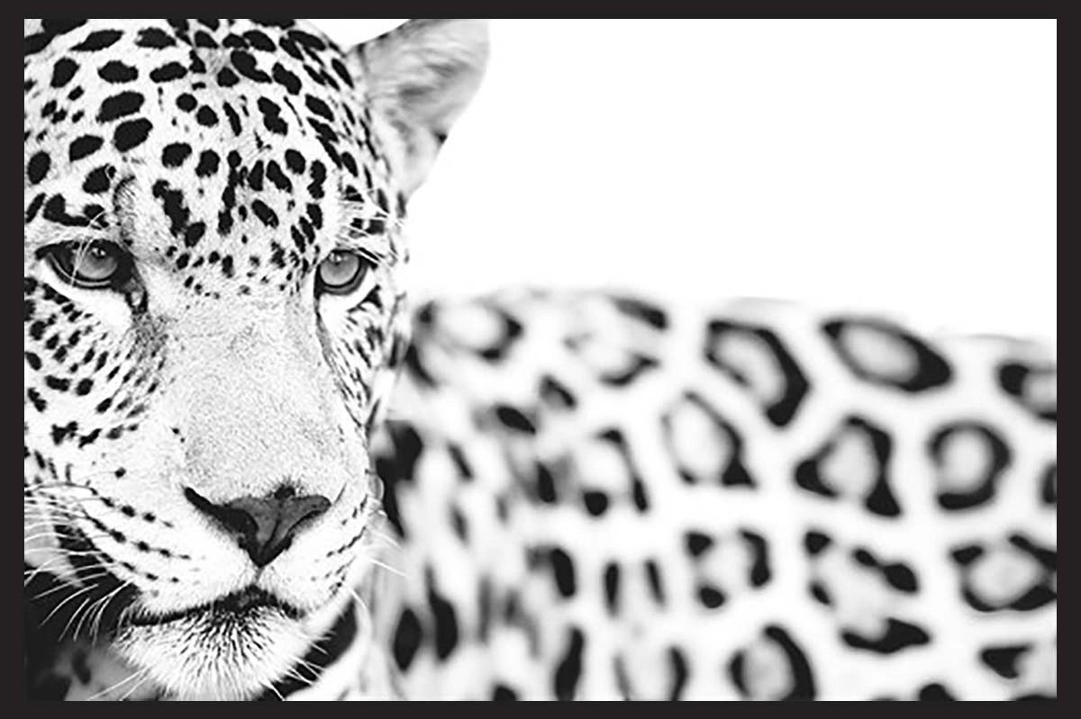 Cornice In Legno Stampa Corona Per Case Delle Bambole - Scala 1/12, Stile Vittoriano, Pezzo Singolo - Foto 5