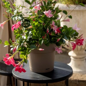 Vaso per piante plastica riciclata Tortora Ø 20 cm