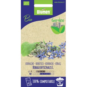 Confezione di semi di borragine (Borago officinalis) per erbe aromatiche.