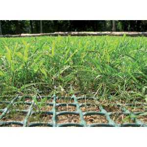 Griglia verde t.b.t. in plastica per rinforzo del prato in giardino.