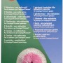 Campingaz reticelle per lampade da campeggio, taglia S, confezione da 3.