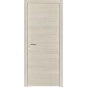 Porta interna chiara con design semplice e maniglia argentata.