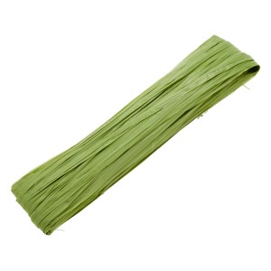 Nastro di rafia verde, rotolo da 50 m, ideale per giardinaggio e bricolage.