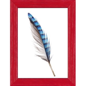 Cornice rossa con motivo piuma, t.b.t.