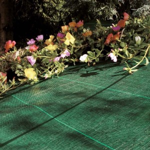 Rete protettiva verde con fiori colorati. Ideale per giardino e aiuola.