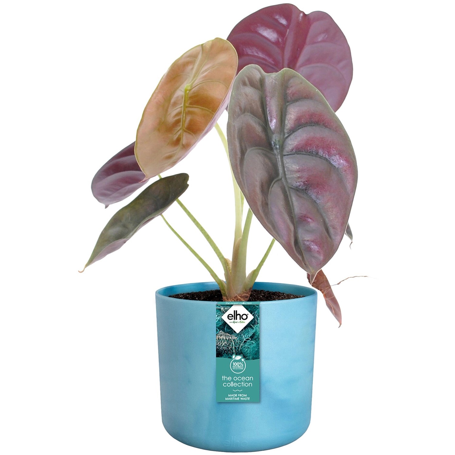 Vaso per fiori Elho Ocean Collection, Ø 14 cm, blu Atlantico, realizzato con rifiuti marini riciclati.