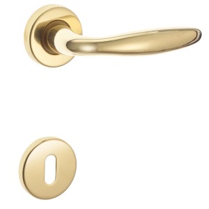 Maniglia per porta dorata con rosetta per interni.