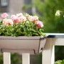 Fioriera da esterno beige con gerani rosa su una ringhiera del balcone.