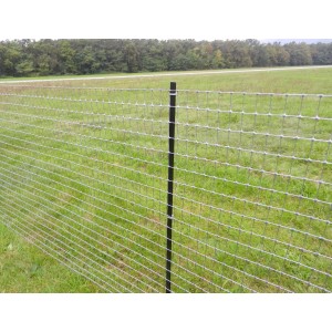 Recinzione in rete metallica t.b.t. con palo nero in giardino.