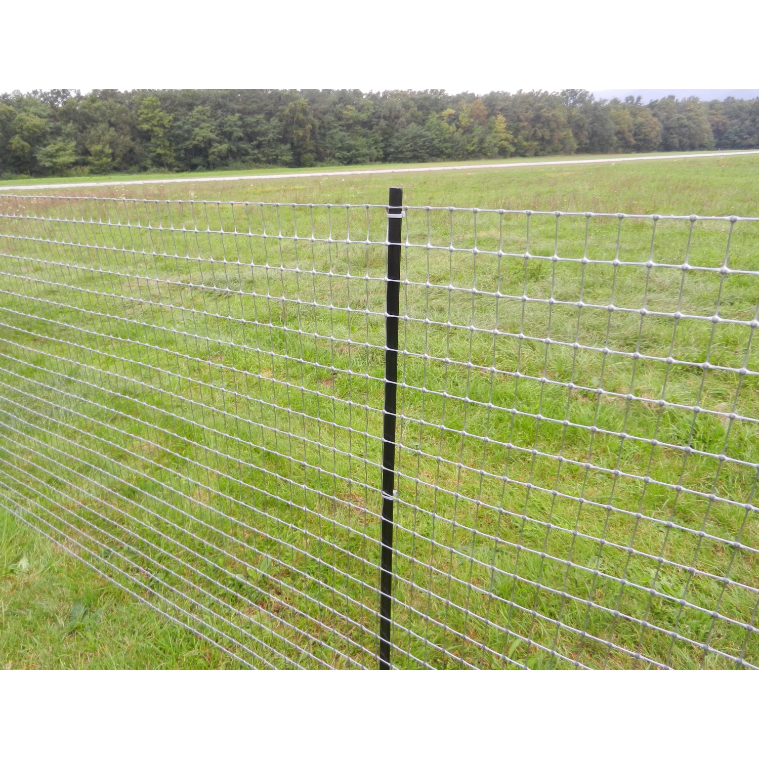 Recinzione in rete metallica t.b.t. con palo nero in giardino.