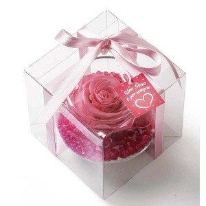 Rosa antica in cubo trasparente con nastro rosa e pietre decorative.