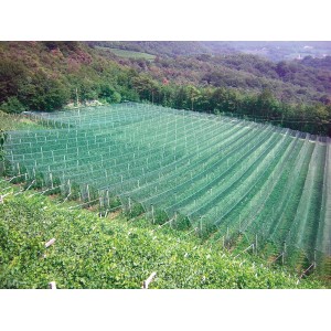 Rete di protezione verde su un campo, categoria: reti di protezione.