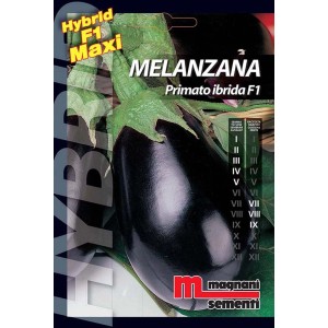 Confezione di semi di melanzana 'Primato ibrida F1' di Magnani Sementi.