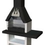 Barbecue in muratura Prometeo legna e carbonella griglia 67x40 cm