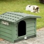 Cuccia per cani verde con tetto e cane sullo sfondo.