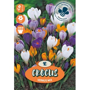 Mix di crochi a fiore grande colorati: fiori primaverili in bianco, giallo e viola.