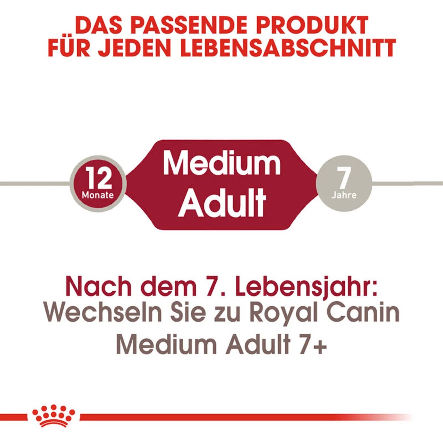 Royal Canin Medium Adult: Grafica per alimento secco per cani di taglia media (1-7 anni).